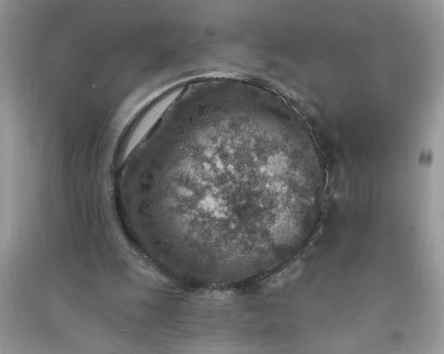 X0000091000247200708161944