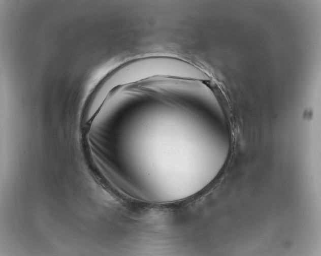 X0000091000248200708161944