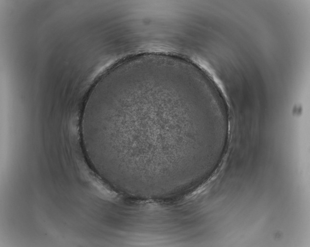X0000091000249200708161944
