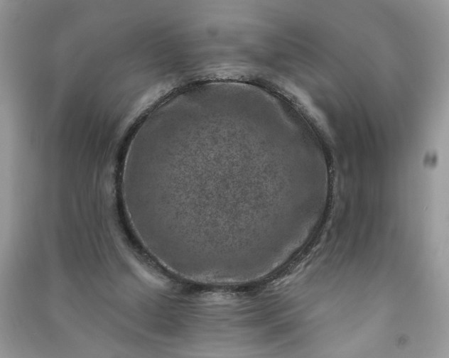 X0000091000250200708161944