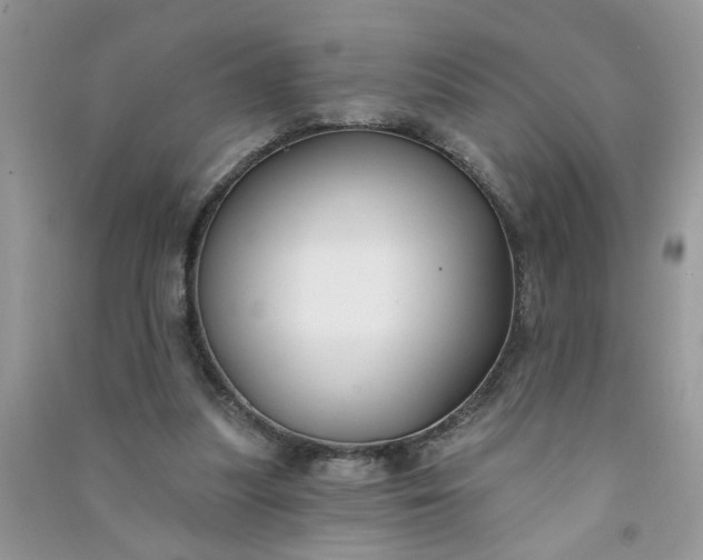 X0000091000251200708161944