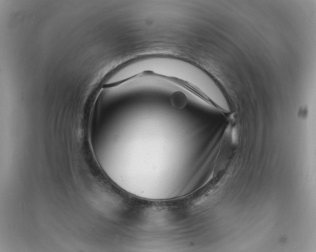 X0000091000252200708161944