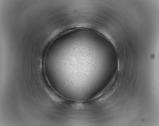 X0000091000253200708161944