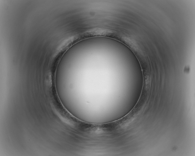 X0000091000254200708161944
