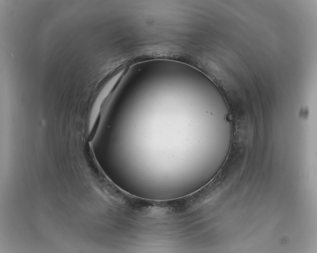 X0000091000255200708161944