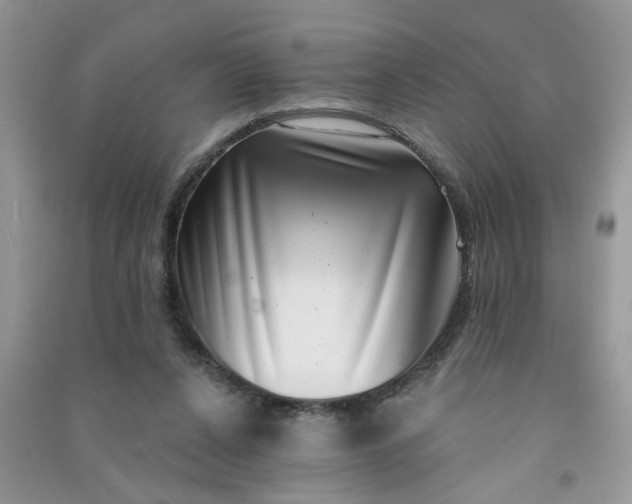 X0000091000256200708161944