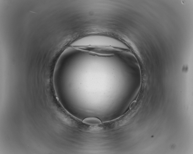 X0000091000257200708161944