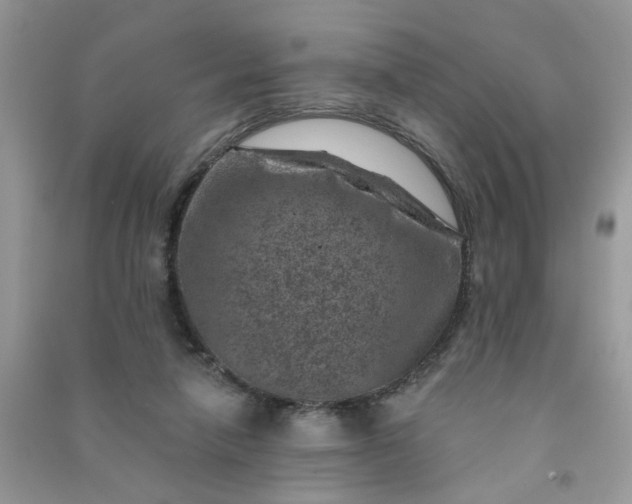 X0000091000258200708161944