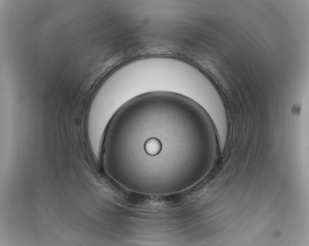 X0000091000260200708161944