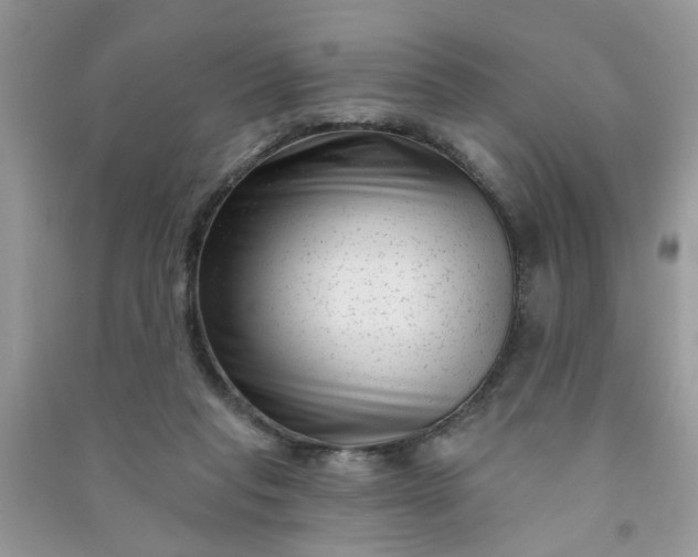 X0000091000261200708161944
