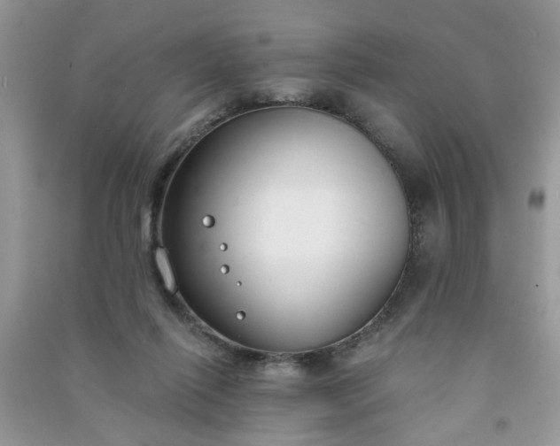 X0000091000262200708161944
