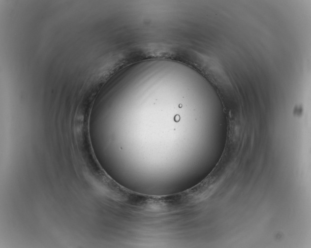 X0000091000263200708161944