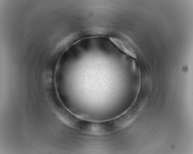 X0000091000264200708161944