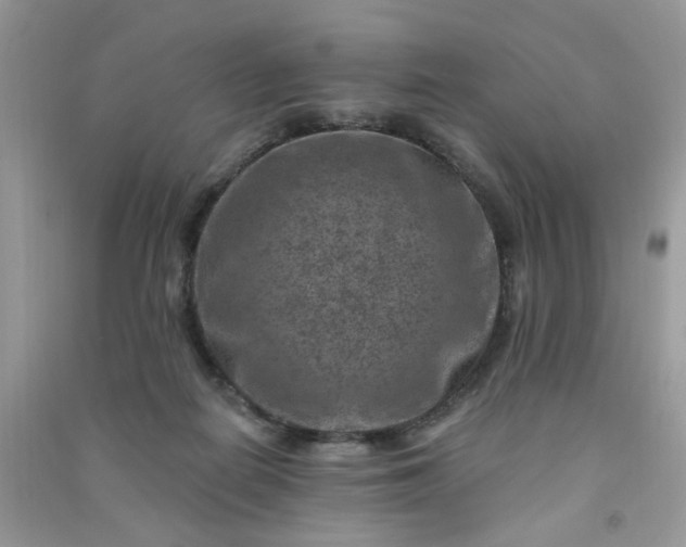 X0000091000266200708161944