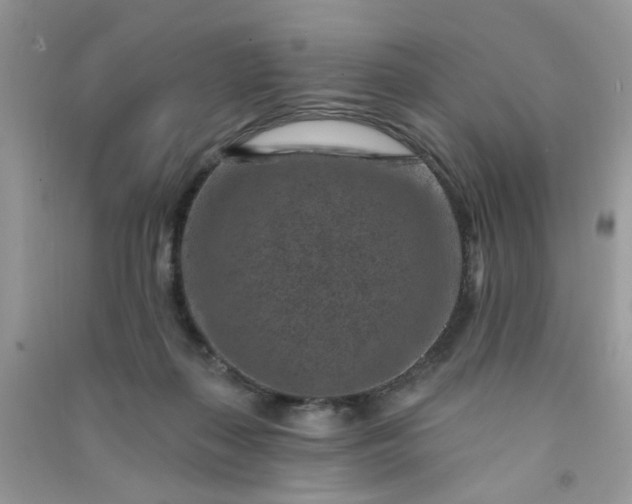 X0000091000267200708161944