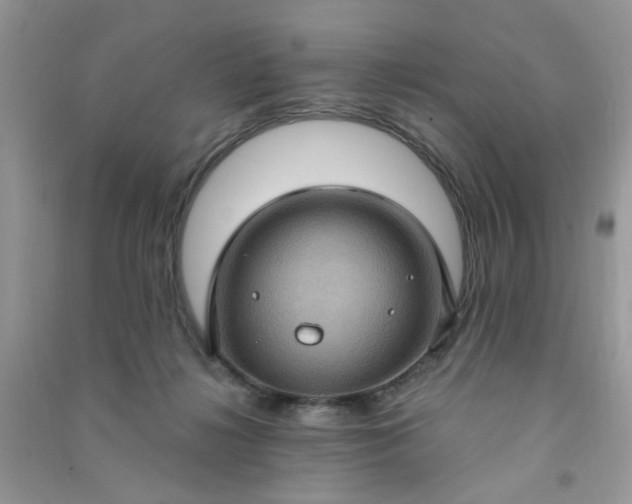 X0000091000268200708161944