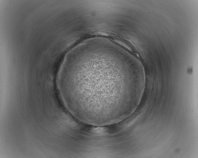 X0000091000269200708161944