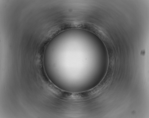 X0000091000270200708161944