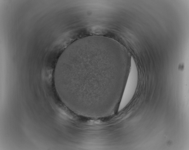 X0000091000271200708161944