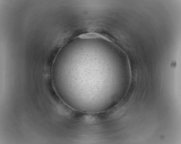 X0000091000272200708161944
