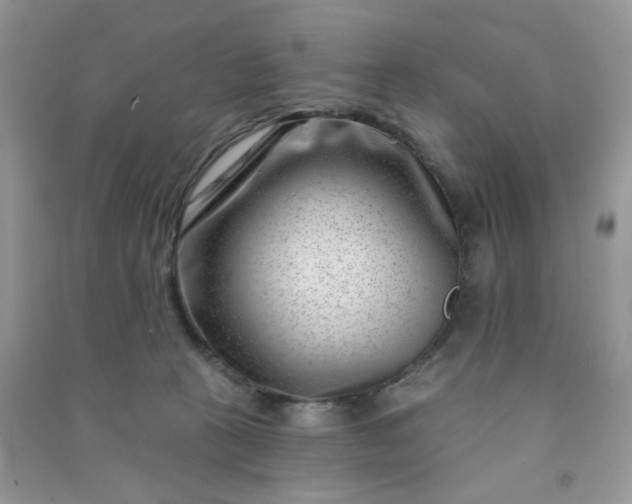 X0000091000273200708161944