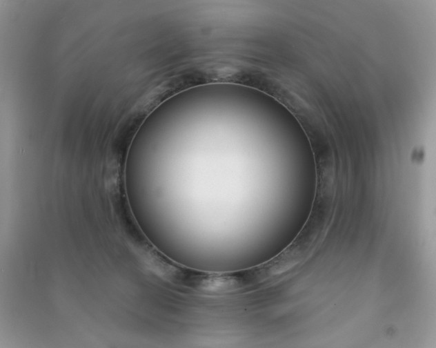X0000091000274200708161944