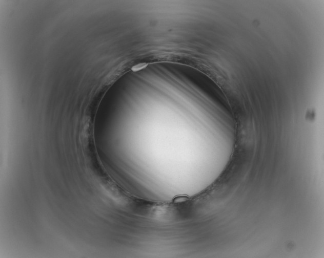 X0000091000275200708161944