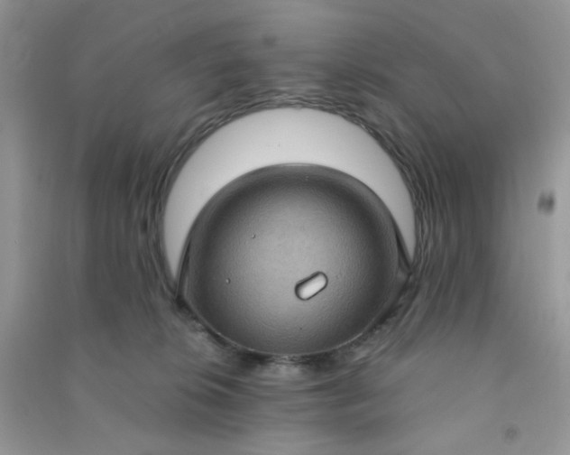 X0000091000276200708161944