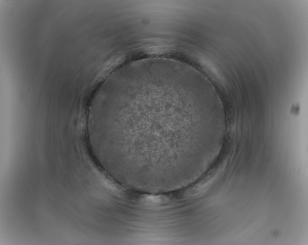 X0000091000277200708161944
