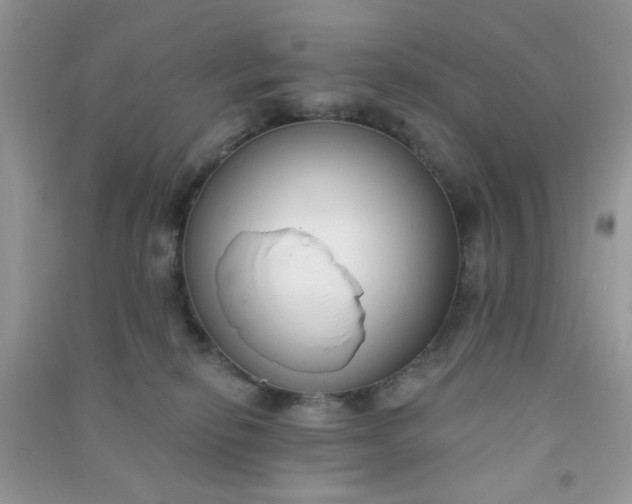 X0000091000278200708161944