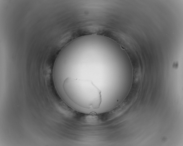 X0000091000279200708161944