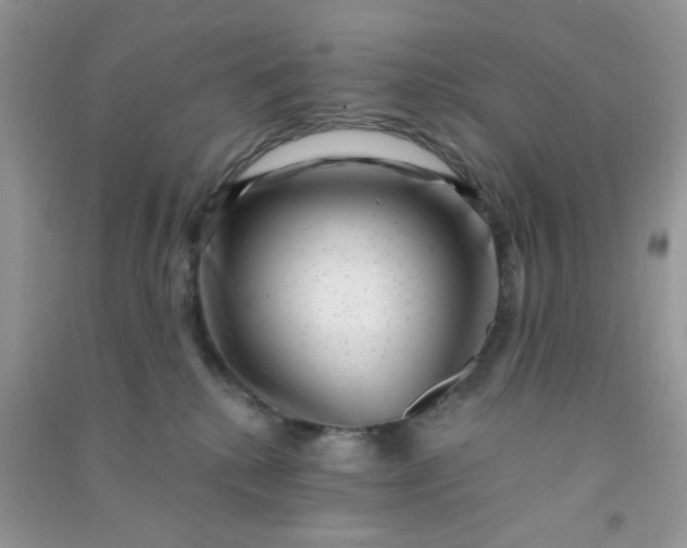 X0000091000280200708161944
