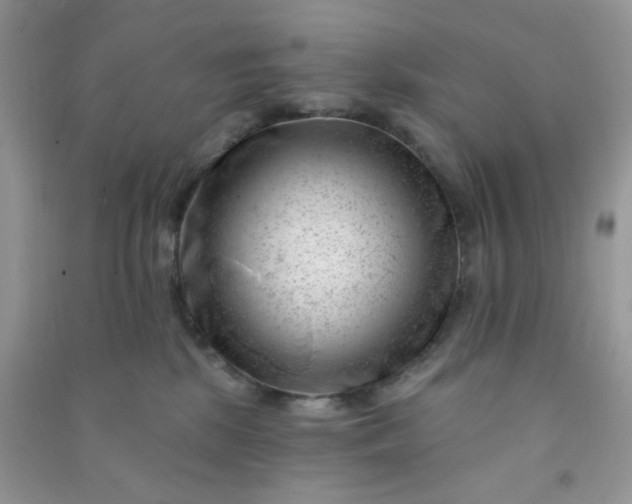 X0000091000281200708161944