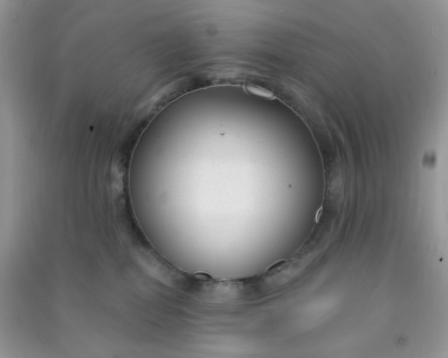 X0000091000282200708161944