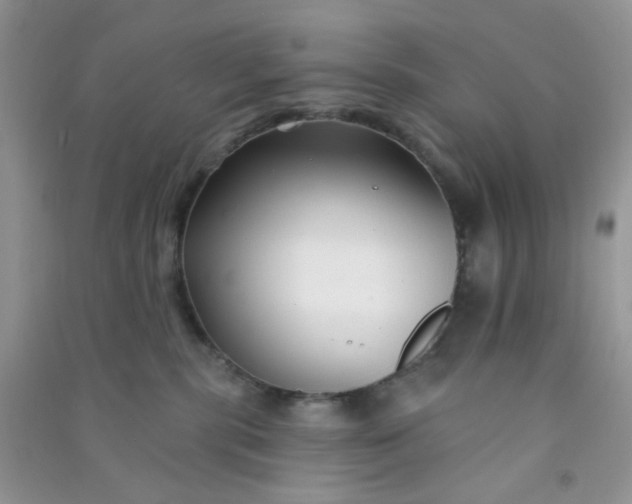 X0000091000283200708161944