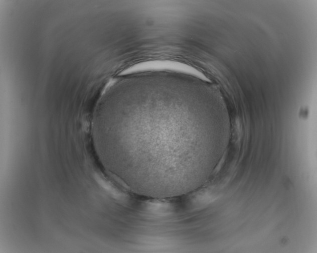 X0000091000284200708161944