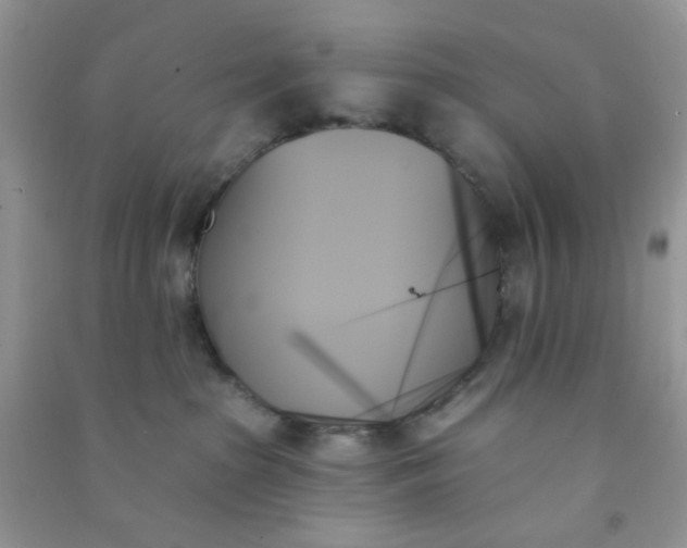 X0000091000285200708161944