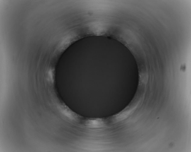 X0000091000286200708161944