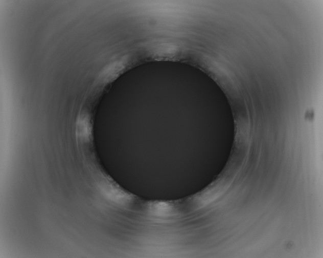 X0000091000287200708161944
