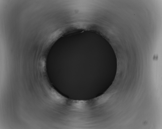 X0000091000288200708161944