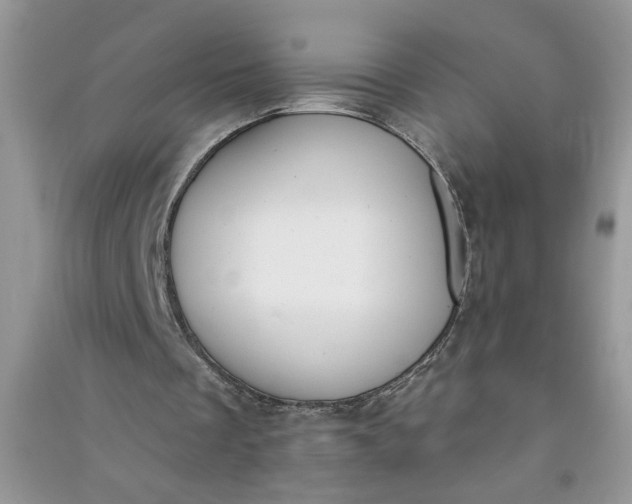 X0000091000289200708161944