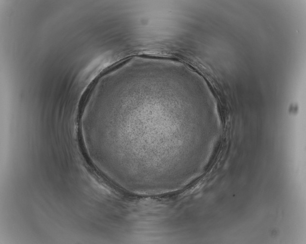 X0000091000290200708161944