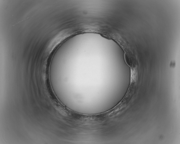 X0000091000291200708161944