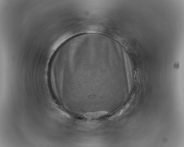 X0000091000292200708161944