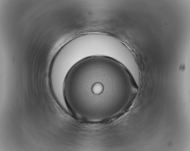 X0000091000293200708161944