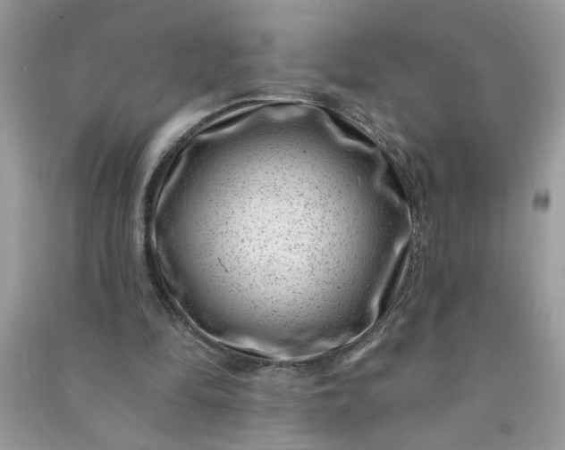 X0000091000294200708161944