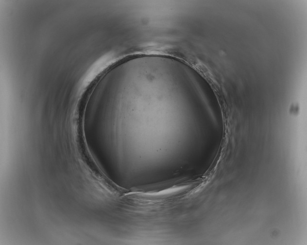 X0000091000295200708161944