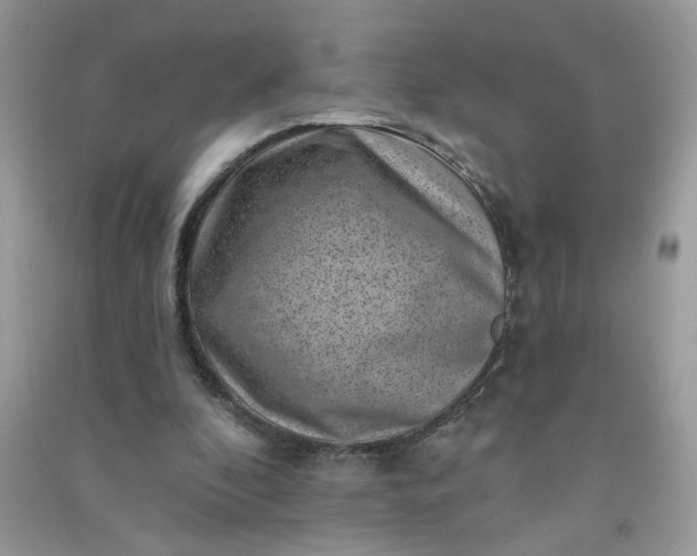 X0000091000296200708161944