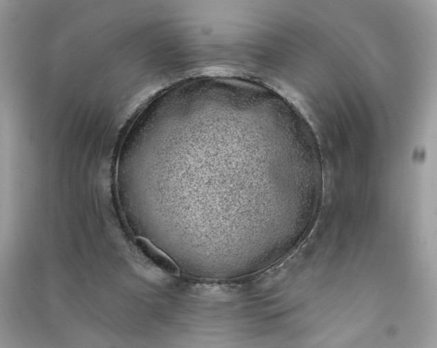 X0000091000297200708161944