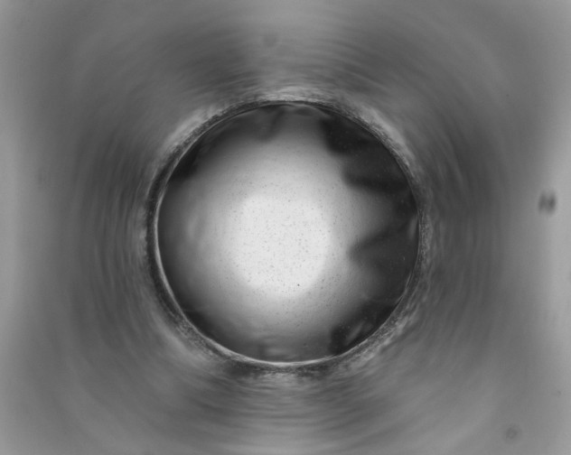 X0000091000298200708161944
